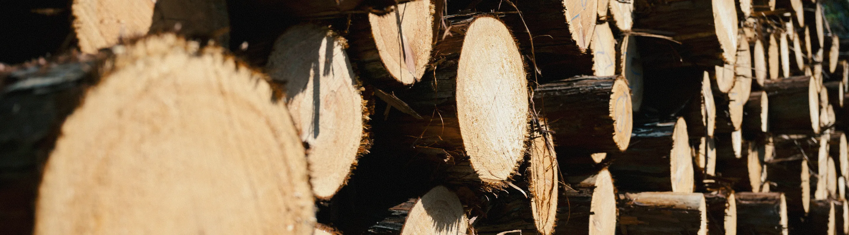 木材が積み上げられている社員