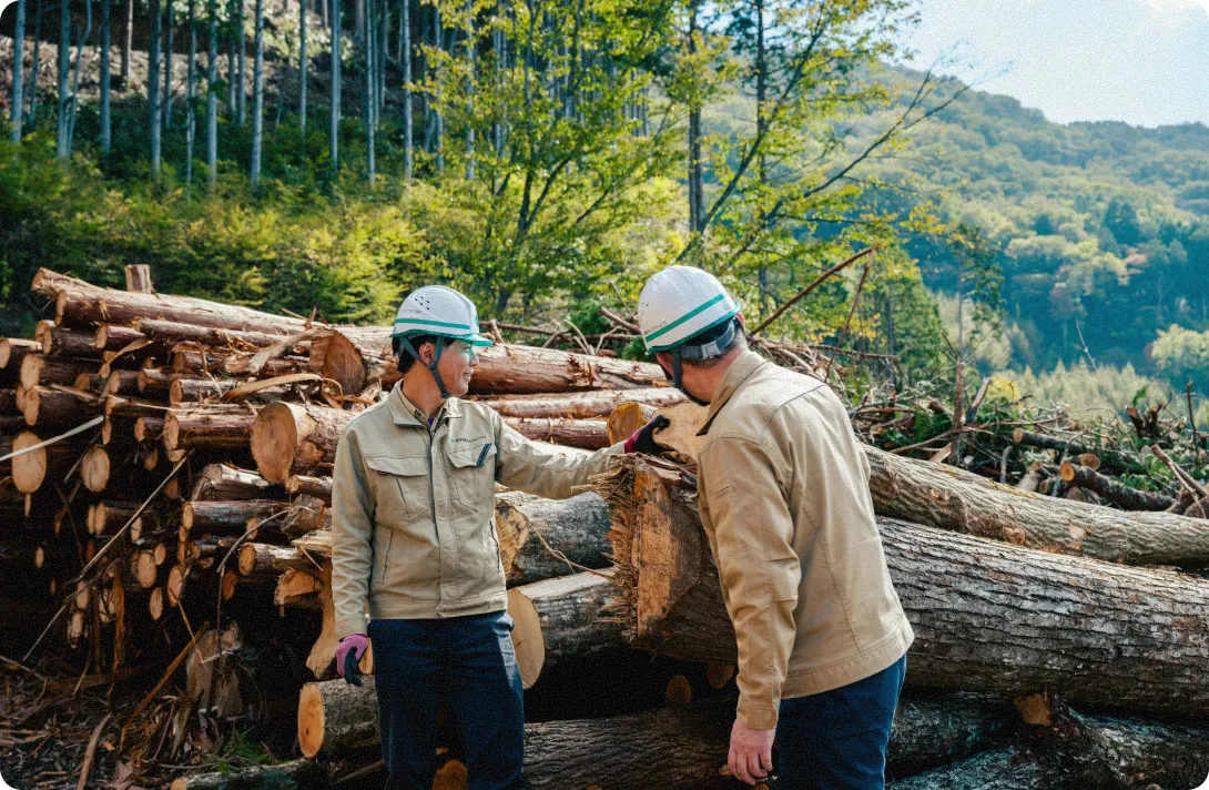 セクション画像