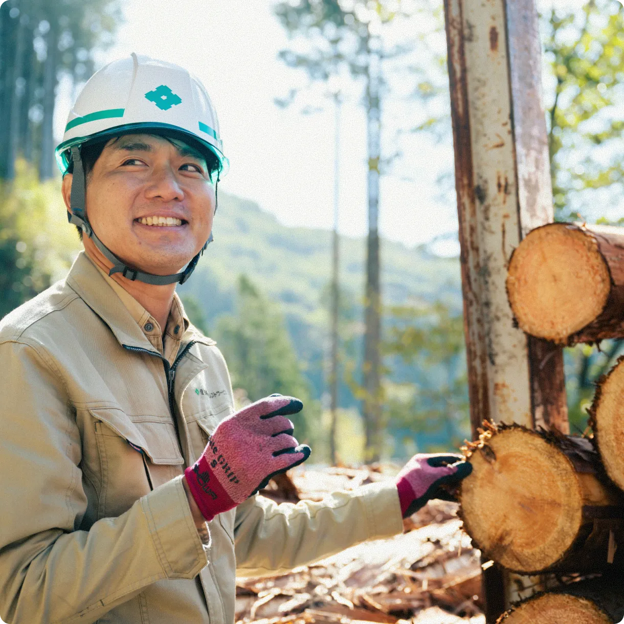 セクション画像