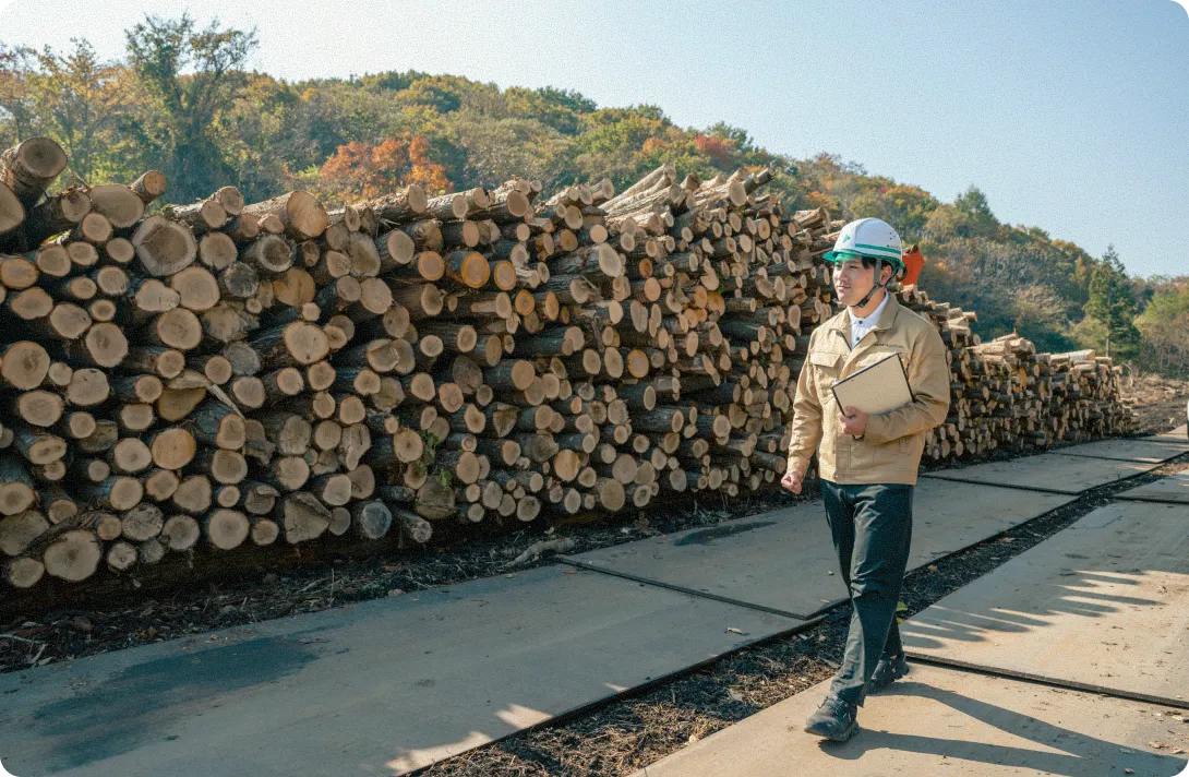 セクション画像