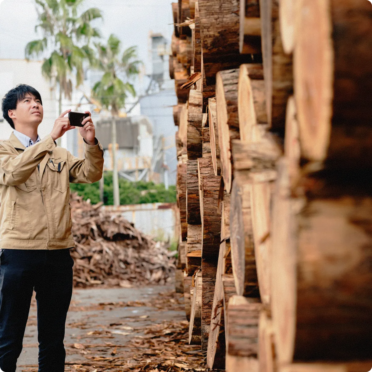 セクション画像