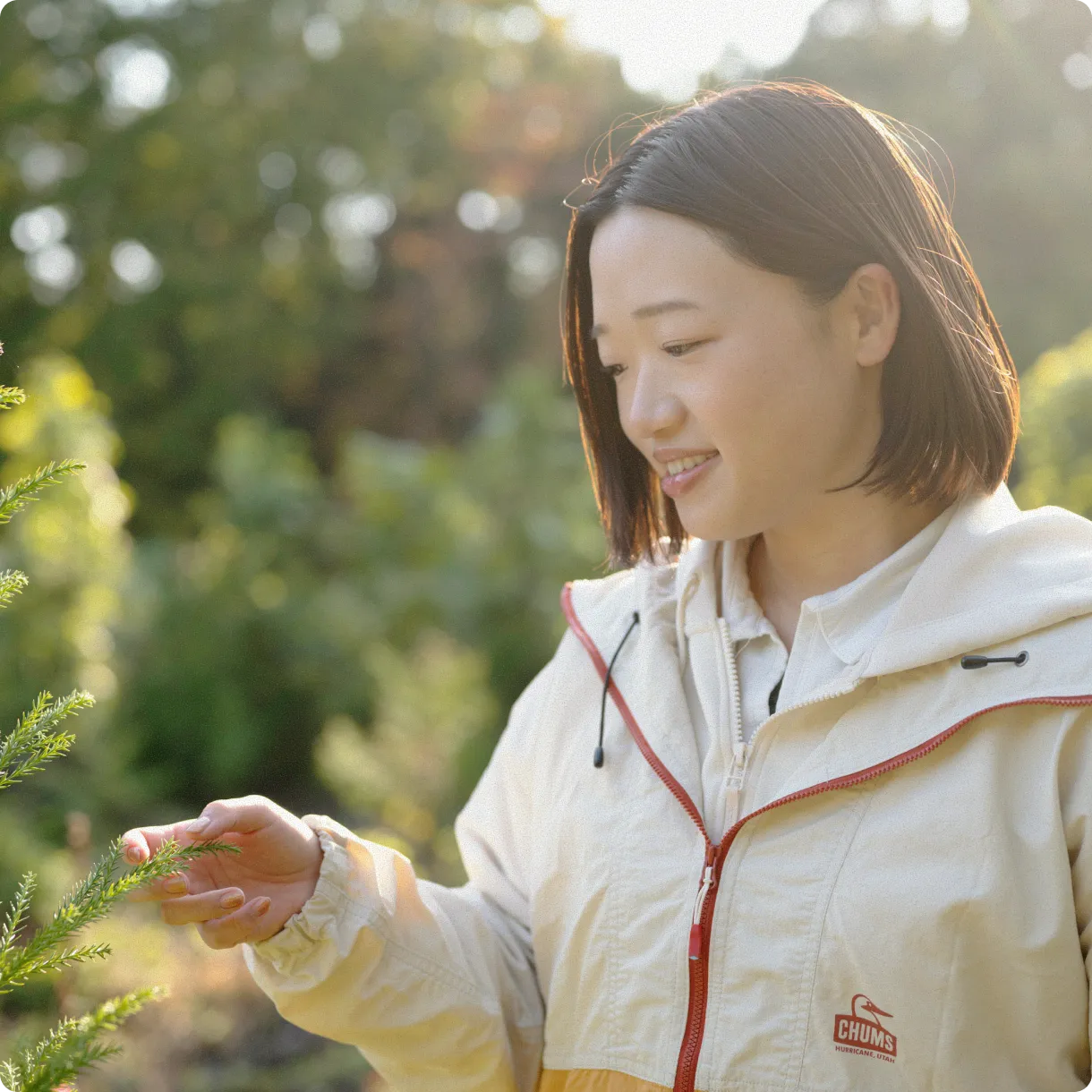 セクション画像