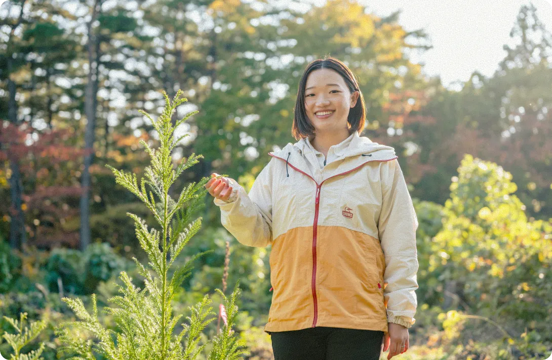 セクション画像