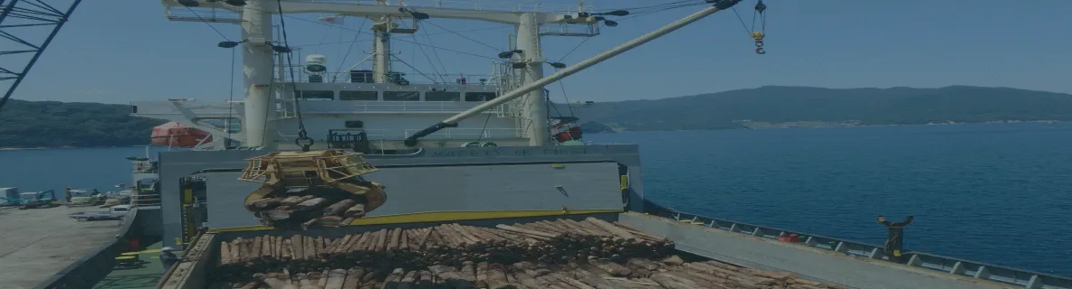 輸出材・輸入材流通部門